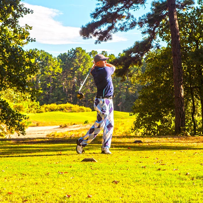 The Course
